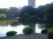 Japanese garden with pond